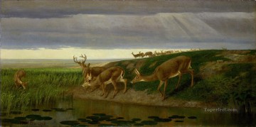  brook Painting - Deer on the Prairie William Holbrook Beard